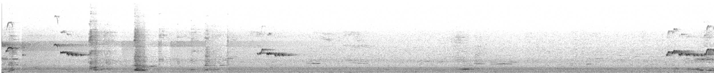 Sarı Gagalı Yedikardeş - ML645261930