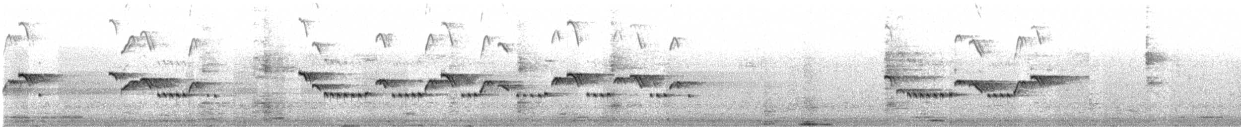 Sarı Gagalı Yedikardeş - ML645261931