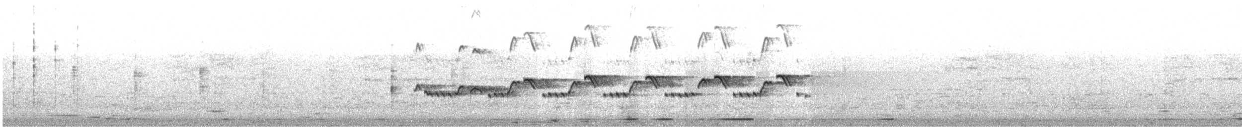 Sarı Gagalı Yedikardeş - ML645261932