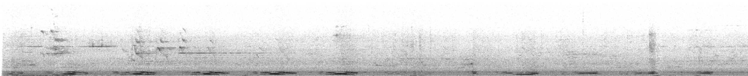 Kaya Güvercini (evcil tip) - ML645262000