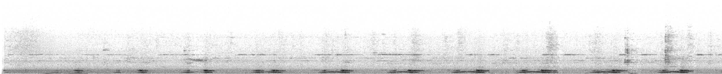 Kaya Güvercini (evcil tip) - ML645262002