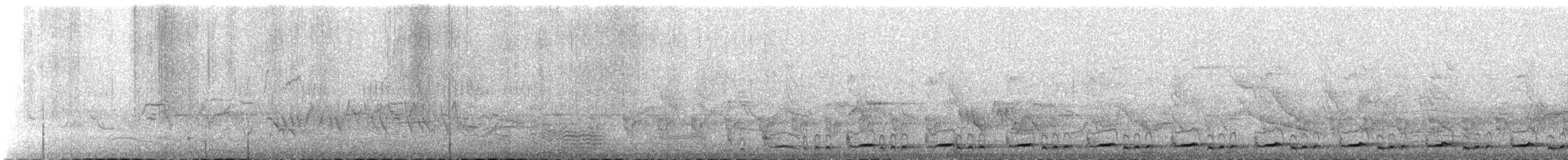 Black-collared Barbet - ML645262656