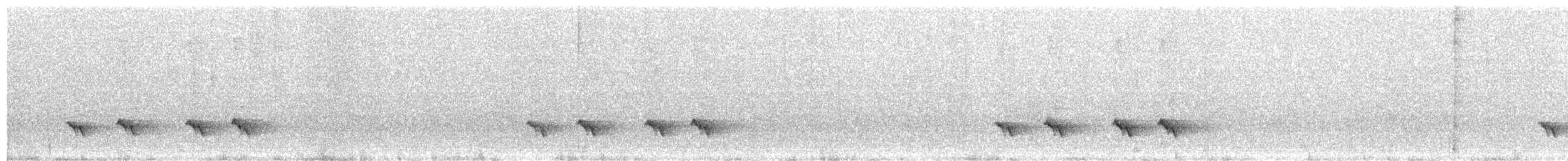 White-browed Shrike-Babbler - ML645262679