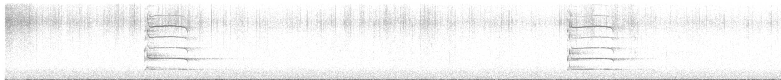 datel černý - ML645262929