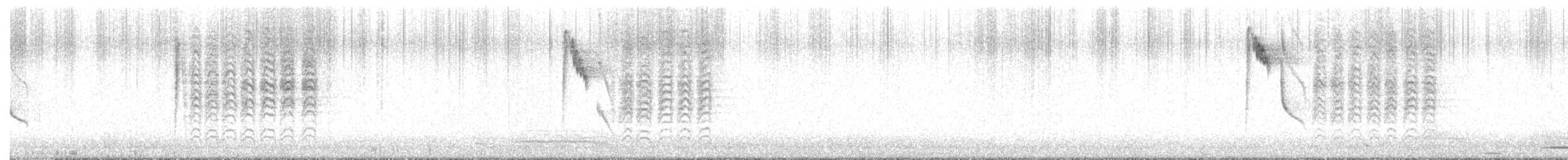 sýkora babka - ML645262940