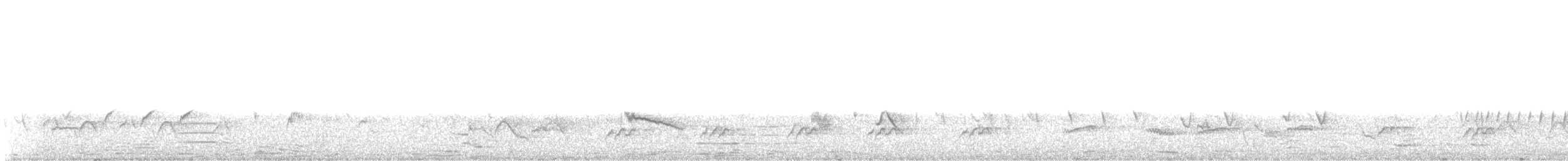 Thick-billed Seedeater - ML645262978