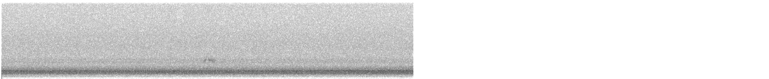 bird sp. - ML645263475