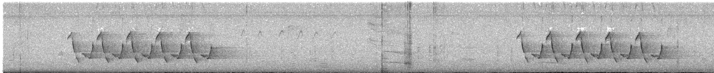 Carolina Wren - ML645263806