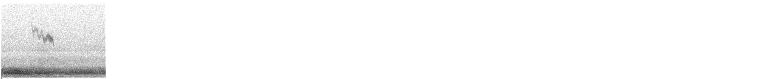 American Robin - ML645263816