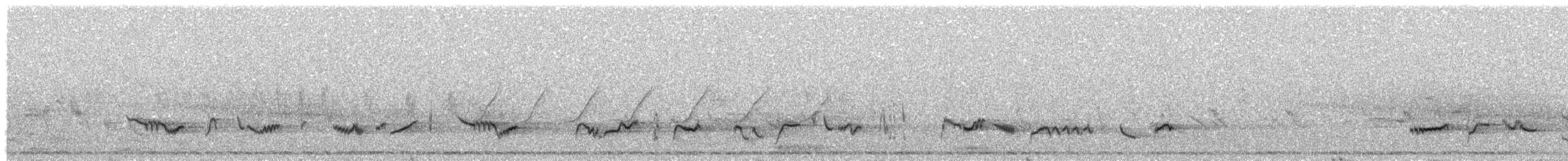 drozd brávník - ML645264045