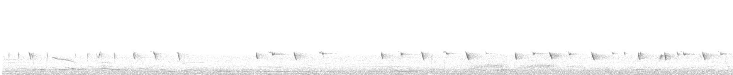 Scarlet-chested Sunbird - ML645264109