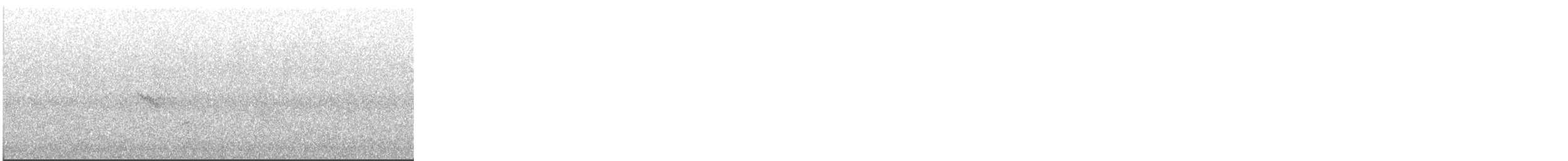 Bicknell's Thrush - ML645264129