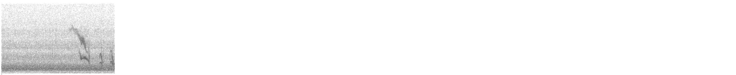 American Robin - ML645264457