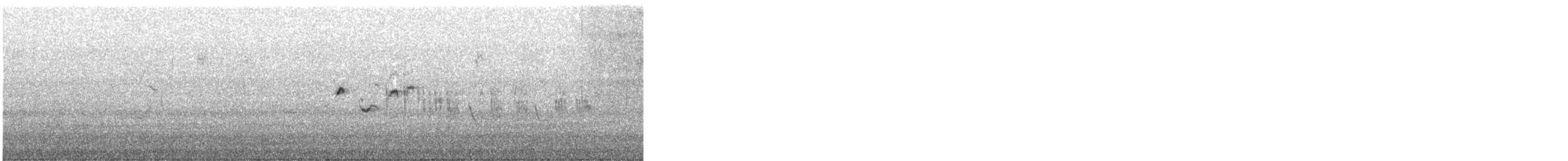 Funda Ötleğeni - ML645264716