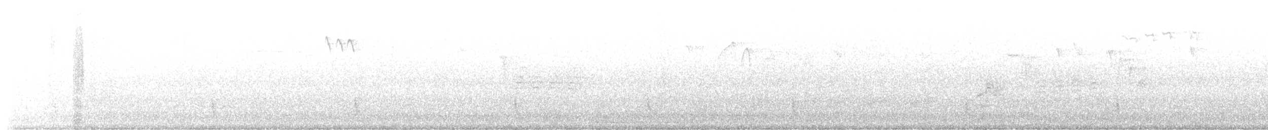 Hermit Thrush - ML645264942