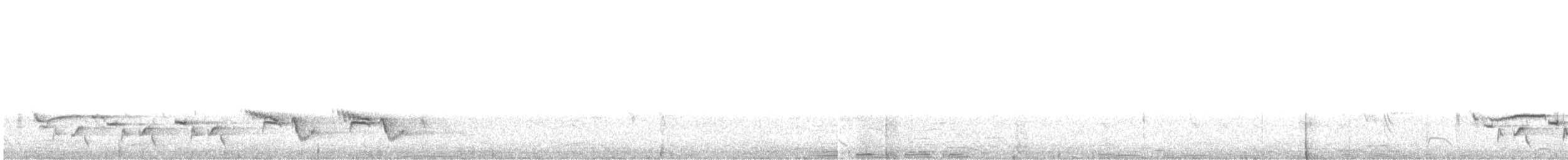 White-browed Robin-Chat - ML645264952