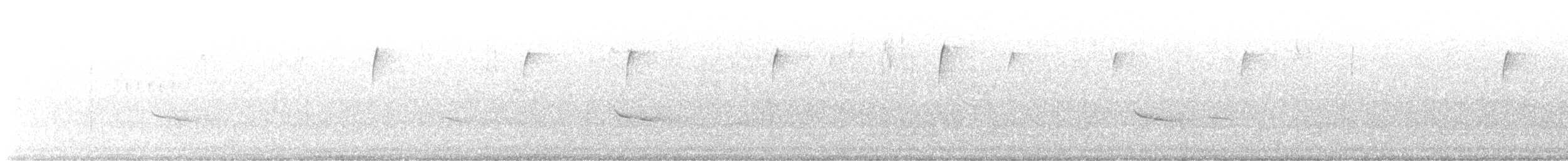 Hermit Thrush - ML645265098