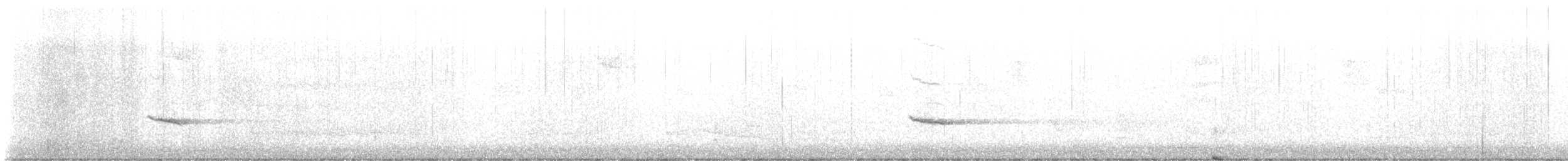 Hermit Thrush - ML645265183