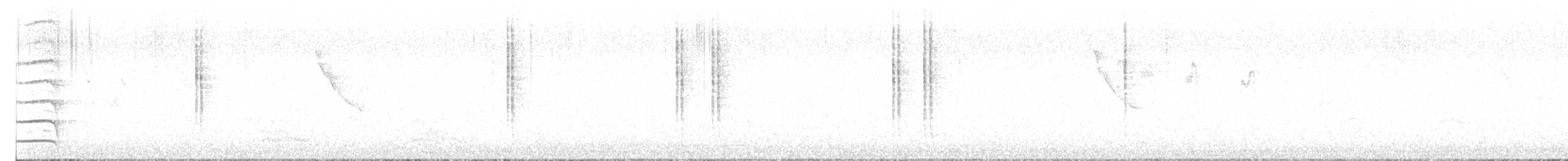 Wasserralle - ML645265231