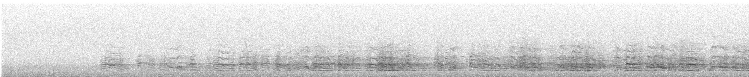 Greater White-fronted Goose - ML645265297