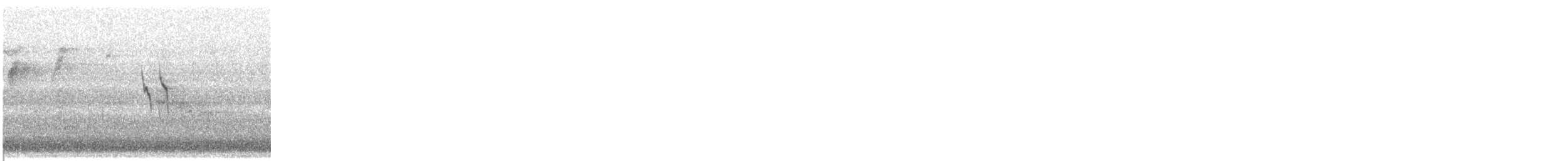 American Pipit - ML645265439