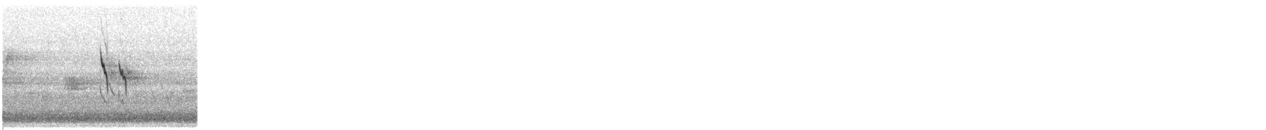 American Pipit - ML645265441