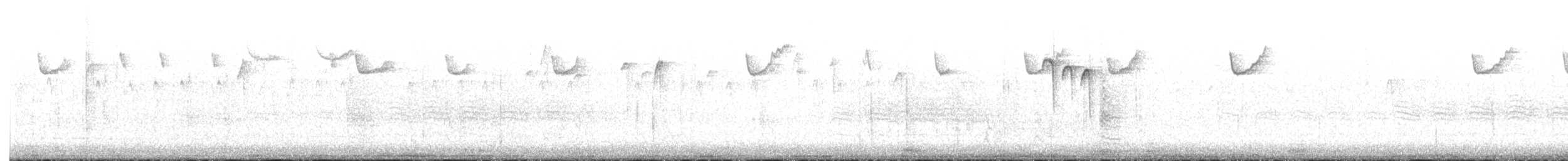 Brown Creeper - ML645265491