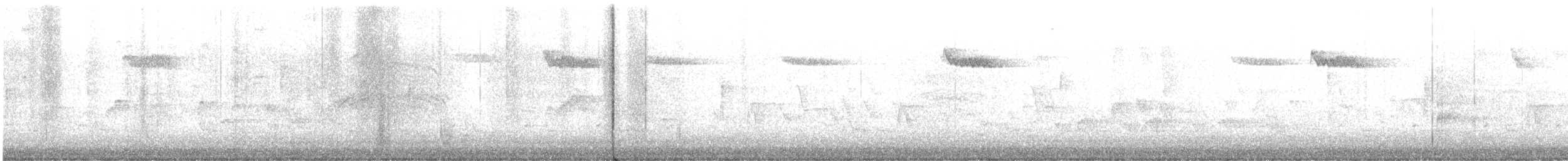 Brown Creeper - ML645265548