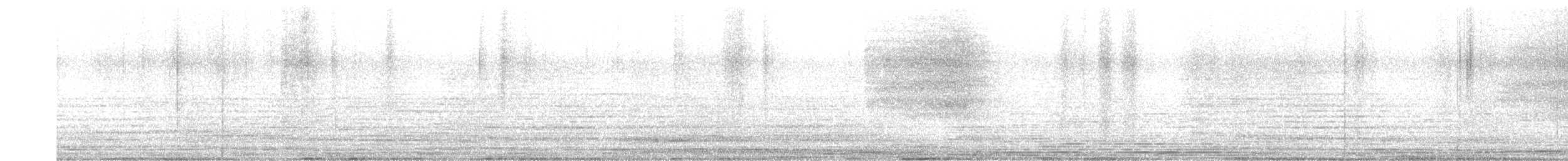 Eastern Barn Owl - ML645265747