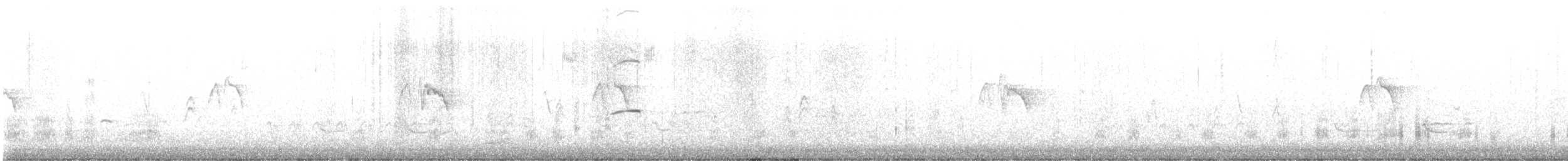 Black Phoebe - ML645265781