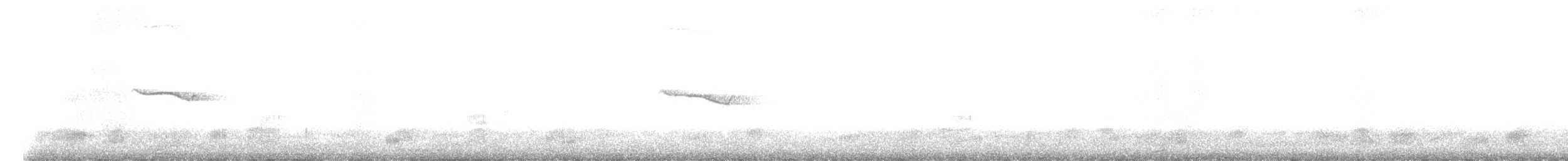 Band-winged Nightjar - ML645265833