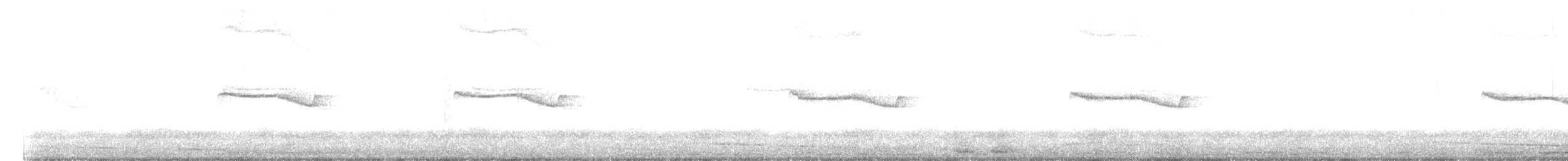 Band-winged Nightjar - ML645265834