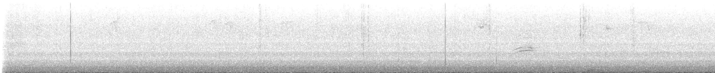 Einsiedler-Musendrossel - ML645266216