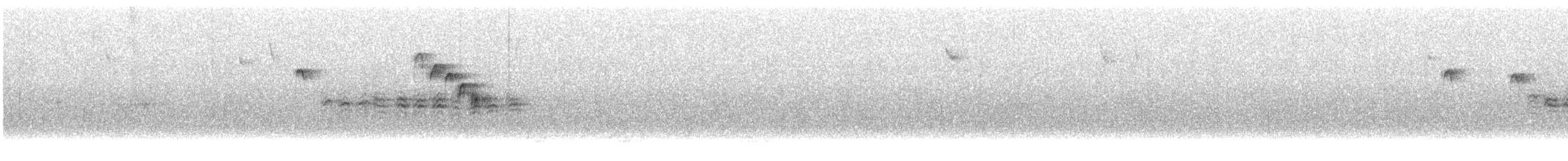 Каролинская гаичка - ML645267458