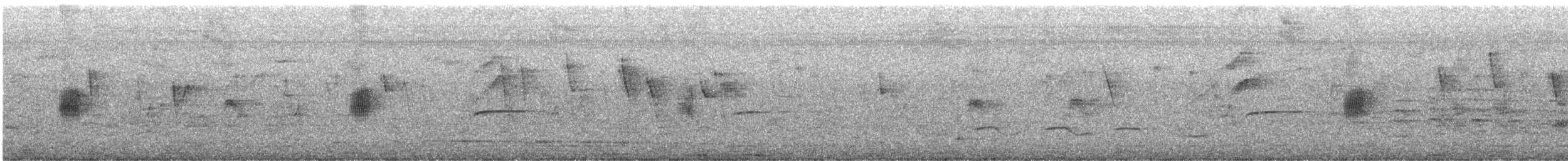 Белокрылая ласточка - ML645267487