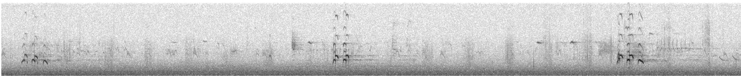 Пёстрый улит - ML645267889