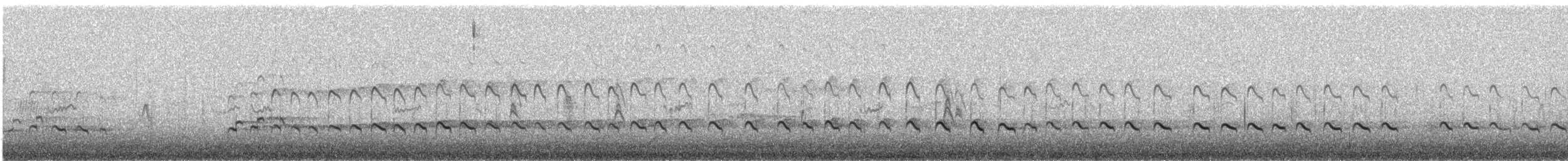 Пёстрый улит - ML645267891