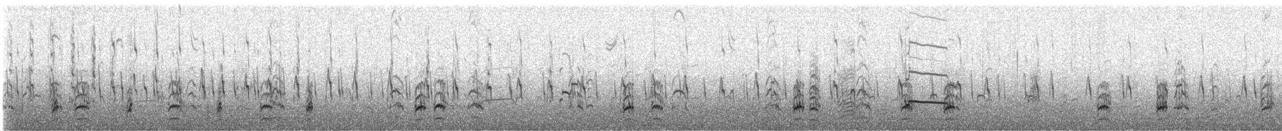 Американский ходулочник (mexicanus) - ML645267899