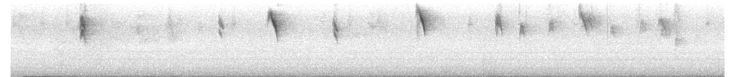 Чернолицый семилеро - ML645268186