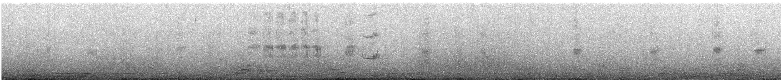 Пронурок білоголовий - ML645268369