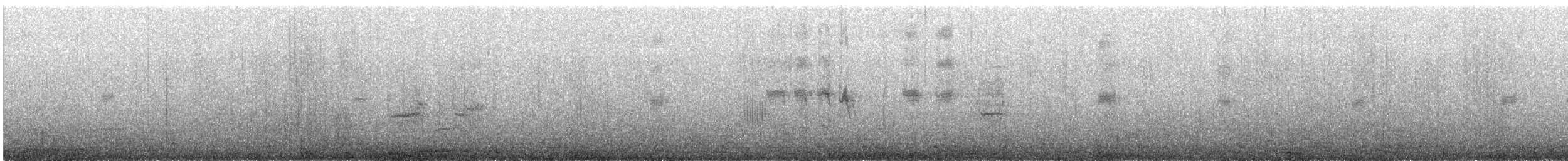 Пронурок білоголовий - ML645268370