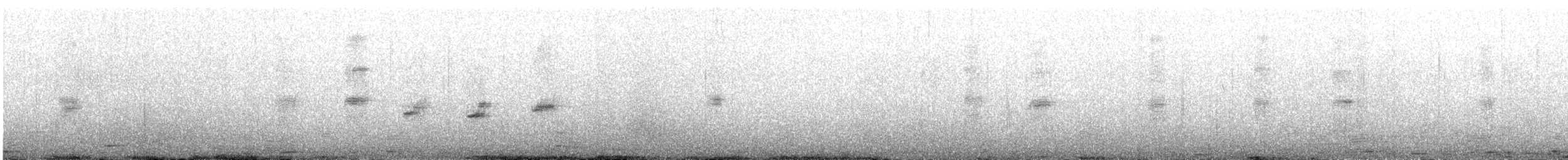 Пронурок білоголовий - ML645268371