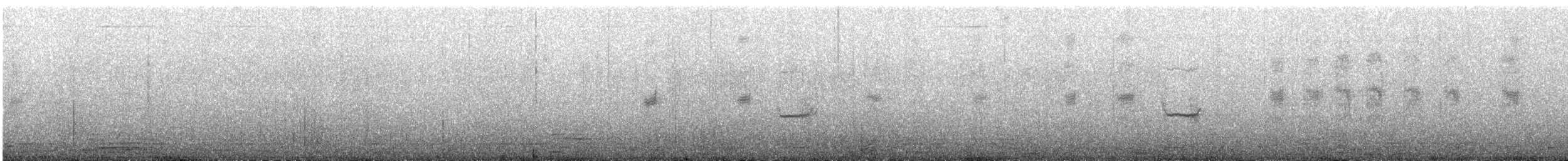 Пронурок білоголовий - ML645268372