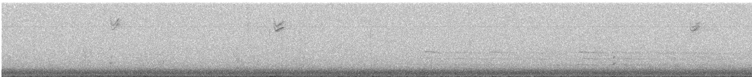 Пасовник рябогрудий (підвид iliaca/zaboria) - ML645268570