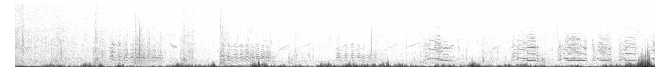 Мартин домініканський - ML645268710