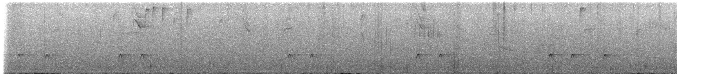 Піві сивий - ML645268841