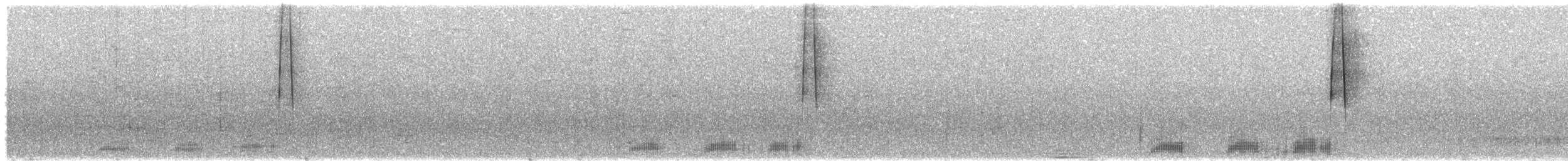 Слуква лісова - ML645268857