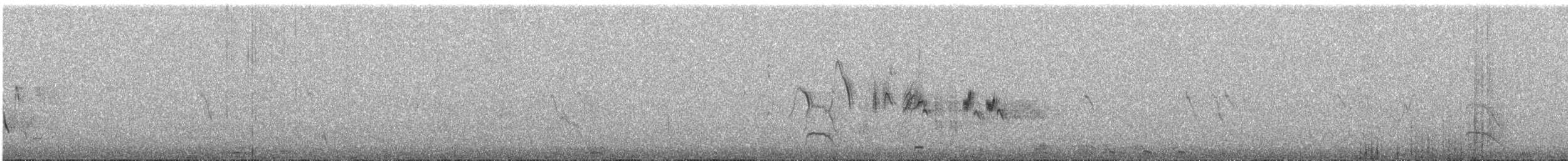 Southern House Wren - ML645268935