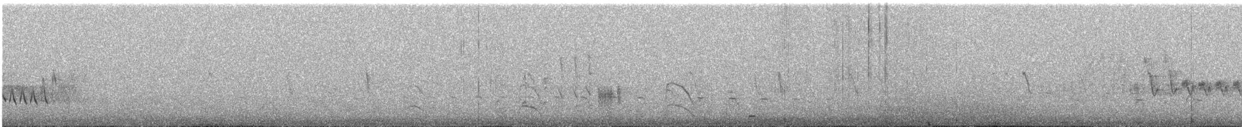 Southern House Wren - ML645268936