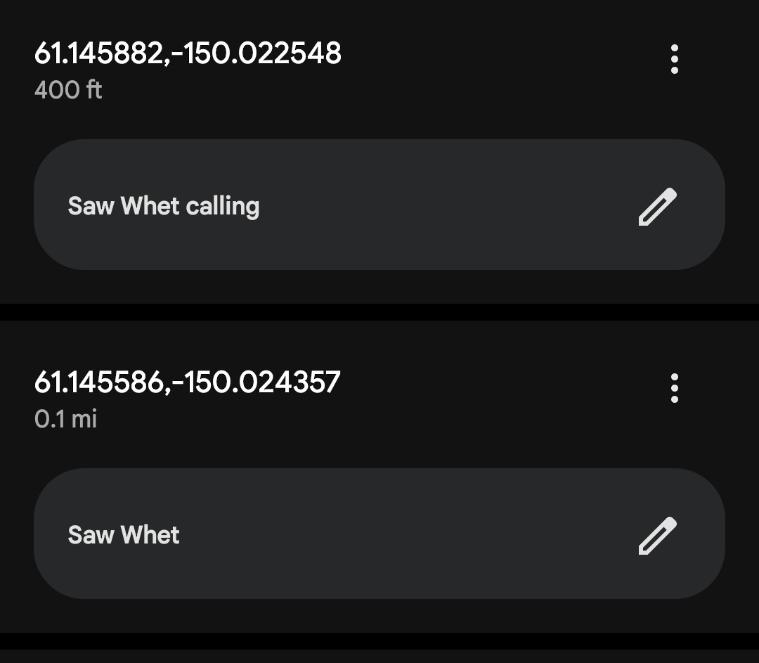 Northern Saw-whet Owl - ML645268960